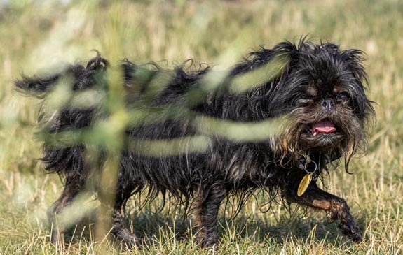 5E1A3795.jpg from 2025 Provincials photo gallery.